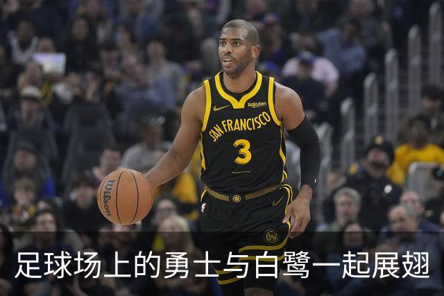 足球场上的勇士与白鹭一起展翅